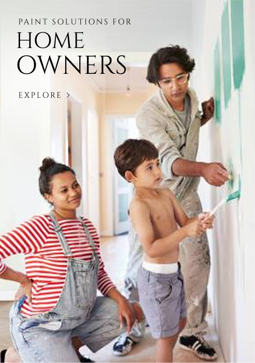 Paint Solutions for Home Owners - Explore