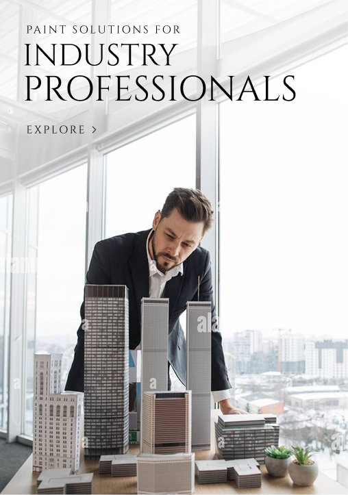 Paint Solutions for Industry Professionals - Explore